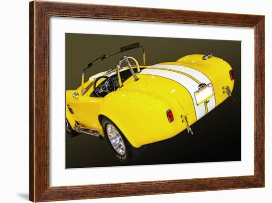 Classic Cobra II-Alan Hausenflock-Framed Photographic Print