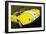 Classic Cobra II-Alan Hausenflock-Framed Photographic Print