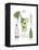 Classic Cocktail - Mojito-Naomi McCavitt-Framed Stretched Canvas