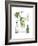 Classic Cocktail - Mojito-Naomi McCavitt-Framed Art Print