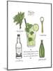 Classic Cocktail - Mojito-Naomi McCavitt-Mounted Art Print