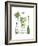 Classic Cocktail - Mojito-Naomi McCavitt-Framed Art Print