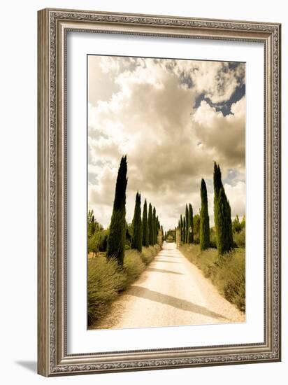 Classic Cypress Trees Of Tuscany-Ian Shive-Framed Photographic Print