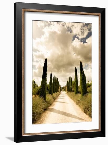 Classic Cypress Trees Of Tuscany-Ian Shive-Framed Photographic Print