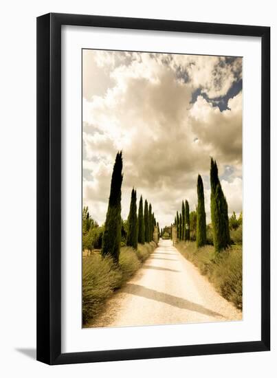 Classic Cypress Trees Of Tuscany-Ian Shive-Framed Photographic Print