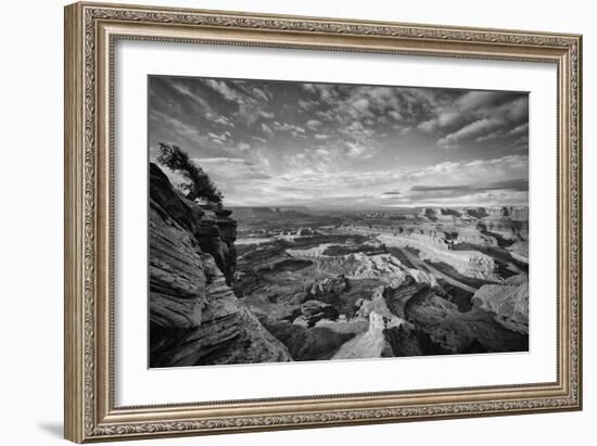 Classic Dead Horse Point in Black and White, Moab Utah-null-Framed Photographic Print