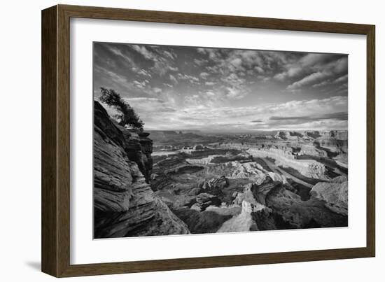 Classic Dead Horse Point in Black and White, Moab Utah-null-Framed Photographic Print