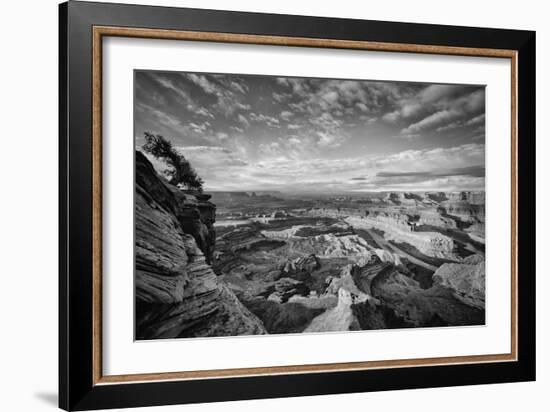 Classic Dead Horse Point in Black and White, Moab Utah-null-Framed Photographic Print