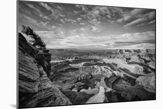 Classic Dead Horse Point in Black and White, Moab Utah-null-Mounted Photographic Print