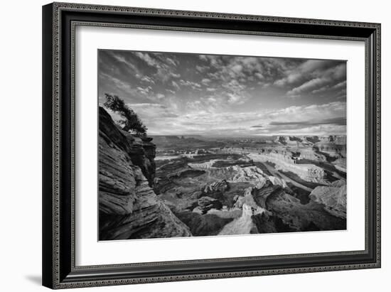 Classic Dead Horse Point in Black and White, Moab Utah-null-Framed Photographic Print