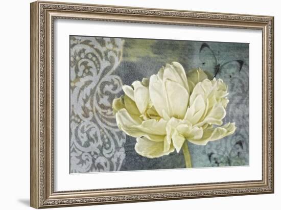 Classic Double White Tulip Ii-Cora Niele-Framed Photographic Print