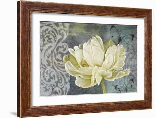 Classic Double White Tulip Ii-Cora Niele-Framed Photographic Print