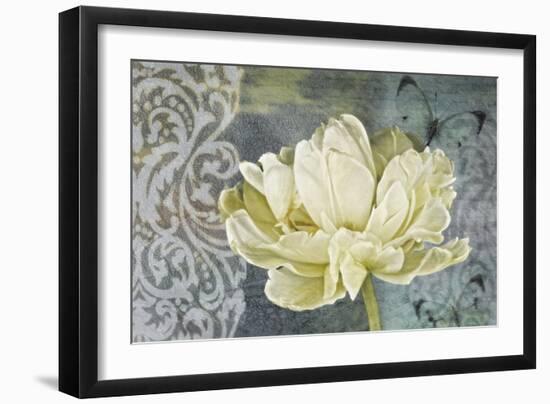 Classic Double White Tulip Ii-Cora Niele-Framed Photographic Print