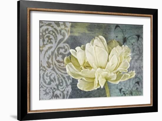 Classic Double White Tulip Ii-Cora Niele-Framed Photographic Print