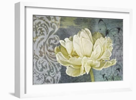 Classic Double White Tulip Ii-Cora Niele-Framed Photographic Print