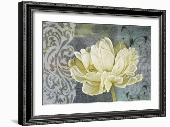 Classic Double White Tulip Ii-Cora Niele-Framed Photographic Print