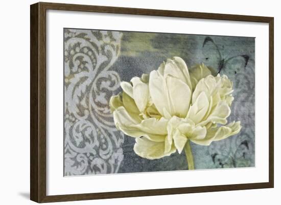 Classic Double White Tulip Ii-Cora Niele-Framed Photographic Print