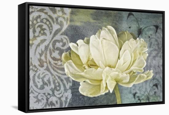 Classic Double White Tulip Ii-Cora Niele-Framed Stretched Canvas