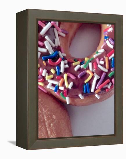 Classic Doughnut I-Monika Burkhart-Framed Premier Image Canvas