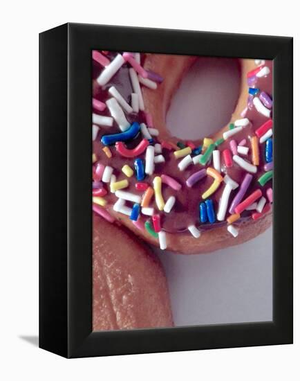 Classic Doughnut I-Monika Burkhart-Framed Premier Image Canvas