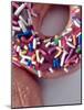 Classic Doughnut I-Monika Burkhart-Mounted Photographic Print