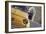 Classic Fiat 500 Car Parked Outside Church, Montepulciano, Tuscany, Italy-Julian Castle-Framed Photographic Print