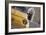 Classic Fiat 500 Car Parked Outside Church, Montepulciano, Tuscany, Italy-Julian Castle-Framed Photographic Print