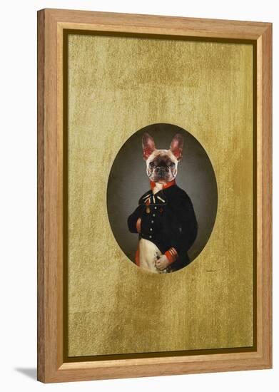 Classic Frenchie-Amanda Greenwood-Framed Stretched Canvas