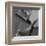 Classic Guitar Detail VII-Richard James-Framed Art Print