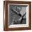 Classic Guitar Detail VII-Richard James-Framed Art Print