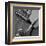 Classic Guitar Detail VII-Richard James-Framed Art Print