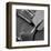 Classic Guitar Detail VII-Richard James-Framed Art Print