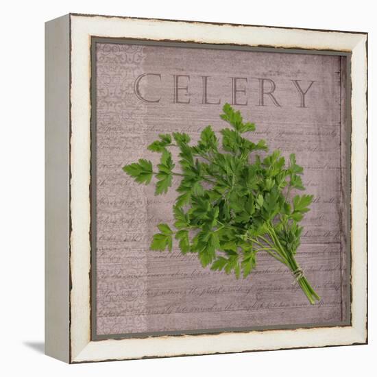 Classic Herbs Celery-Cora Niele-Framed Stretched Canvas