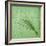 Classic Herbs Chives-Cora Niele-Framed Photographic Print