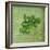 Classic Herbs Parsley-Cora Niele-Framed Photographic Print