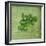 Classic Herbs Parsley-Cora Niele-Framed Photographic Print