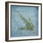 Classic Herbs Rosemary-Cora Niele-Framed Photographic Print