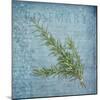 Classic Herbs Rosemary-Cora Niele-Mounted Photographic Print