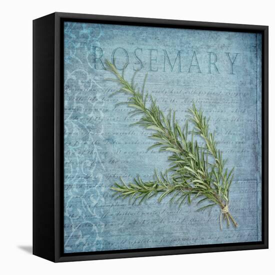 Classic Herbs Rosemary-Cora Niele-Framed Stretched Canvas