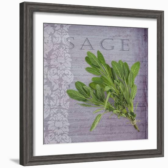 Classic Herbs Sage-Cora Niele-Framed Photographic Print