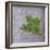 Classic Herbs Sage-Cora Niele-Framed Photographic Print