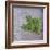 Classic Herbs Sage-Cora Niele-Framed Photographic Print