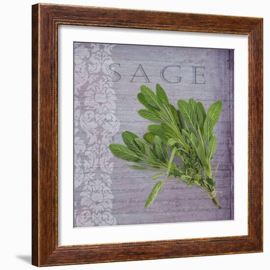 Classic Herbs Sage-Cora Niele-Framed Photographic Print