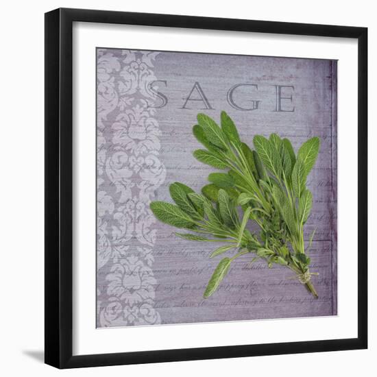 Classic Herbs Sage-Cora Niele-Framed Photographic Print
