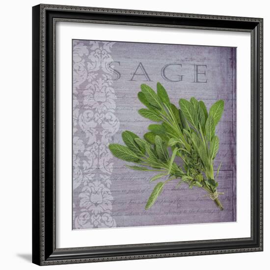 Classic Herbs Sage-Cora Niele-Framed Photographic Print