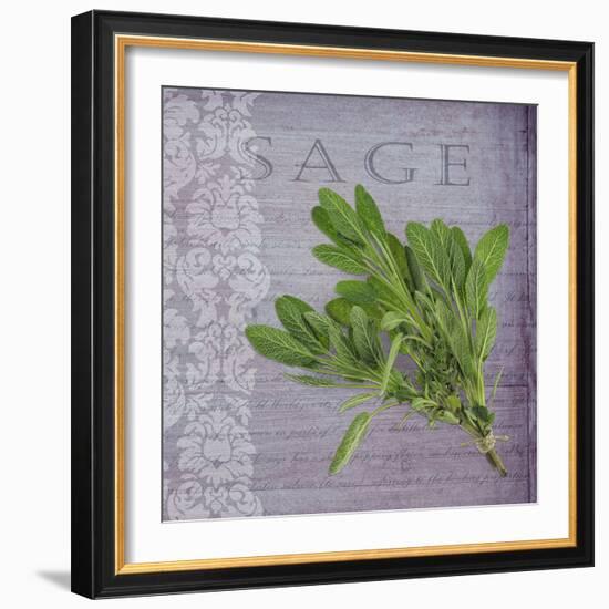 Classic Herbs Sage-Cora Niele-Framed Photographic Print