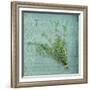 Classic Herbs Thyme-Cora Niele-Framed Photographic Print