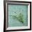 Classic Herbs Thyme-Cora Niele-Framed Photographic Print