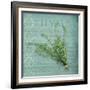 Classic Herbs Thyme-Cora Niele-Framed Photographic Print