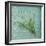 Classic Herbs Thyme-Cora Niele-Framed Photographic Print